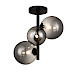Plafondlamp Olivento zwart smoke glas 3-lichts