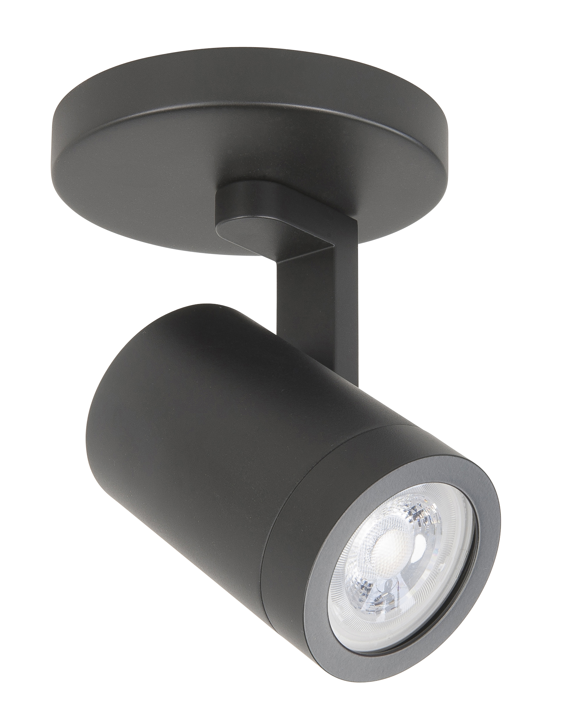 Plafondlamp Halo Spot zwart