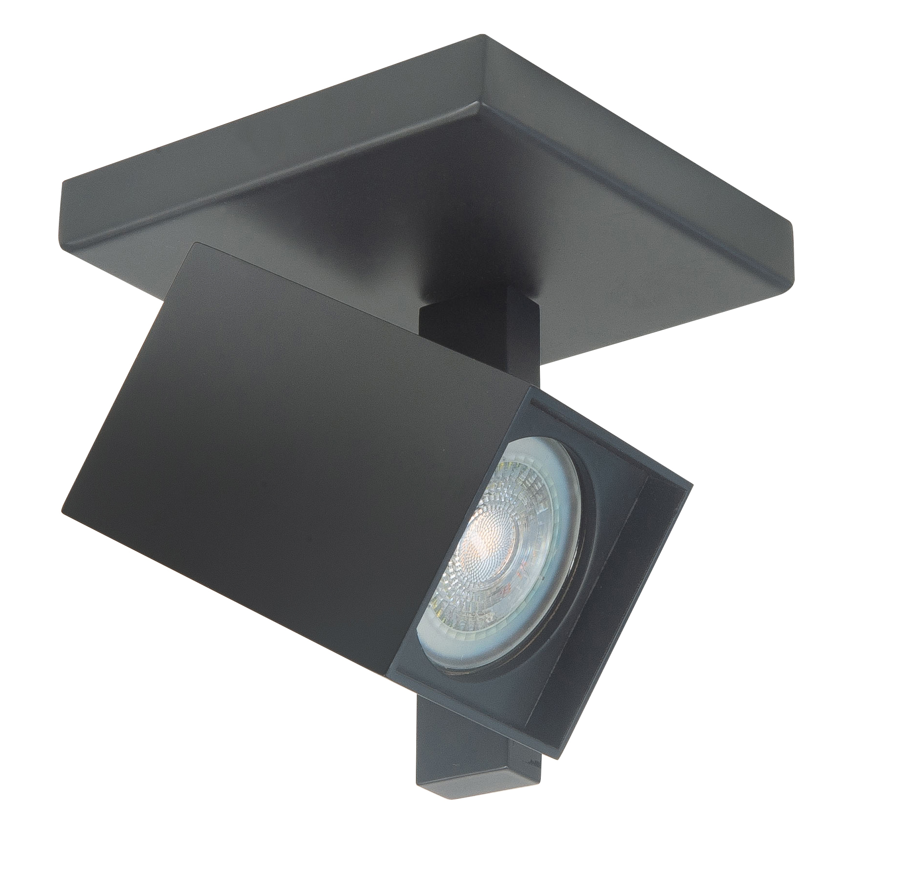 Plafondlamp Oslo zwart