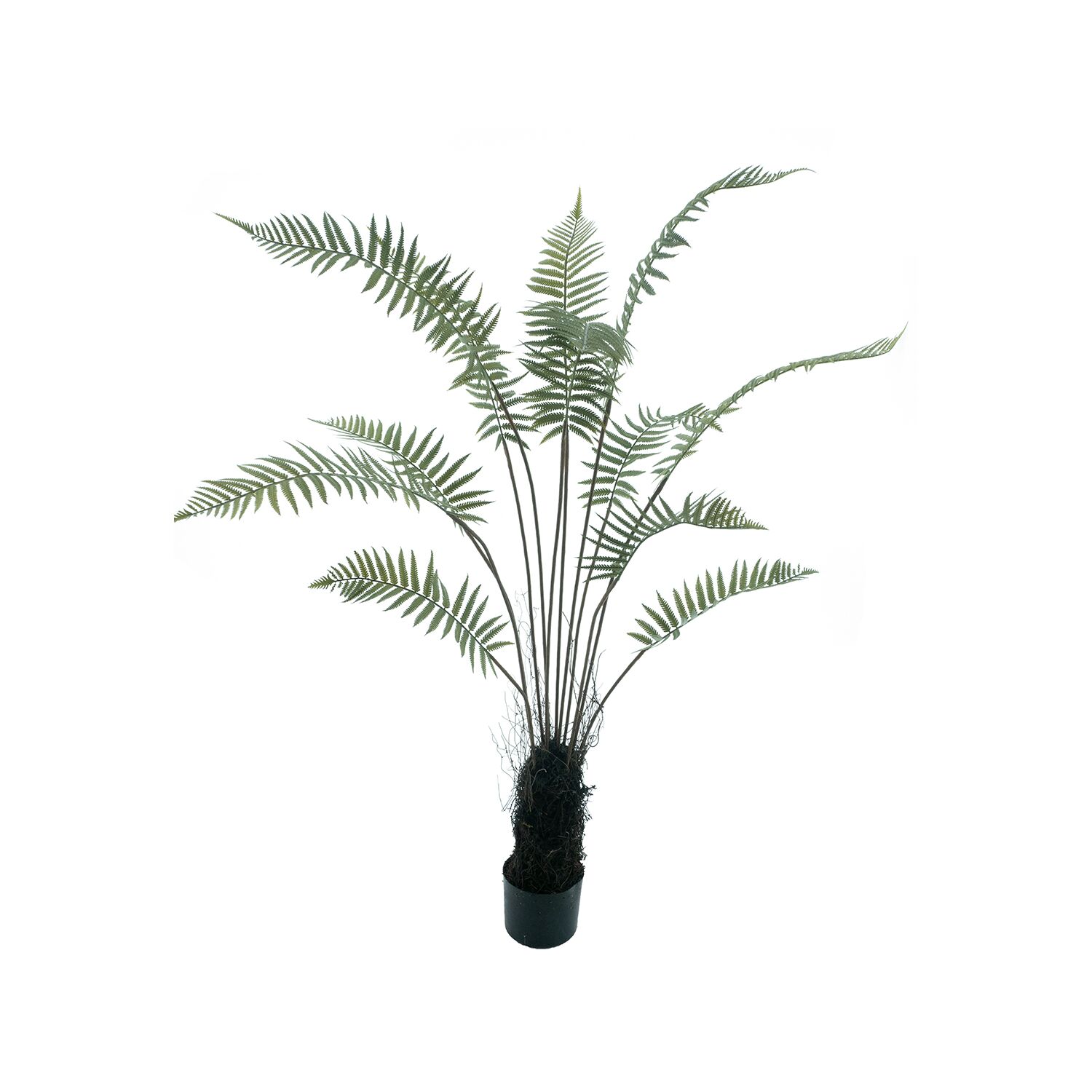 Plant Varen groen