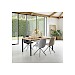 Eettafel Tesino 220x100 cm rechthoekig