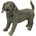 Decoratiebeeld Secchia hond grijs