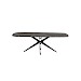 Eettafel Sirione Deens ovaal HPL zebra marmer 225x100cm