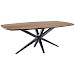 Eettafel Warita Deens ovaal houtstructuur 220x120cm
