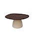 Salontafel Marroni mangohout organisch