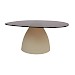 Salontafel Myloni rookglas organisch