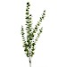 Kunsttak Mandivo eucalyptus groen