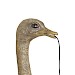 Wandlamp Mozzi struisvogel antiek brons