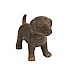 Perrito hond sita staand bruin