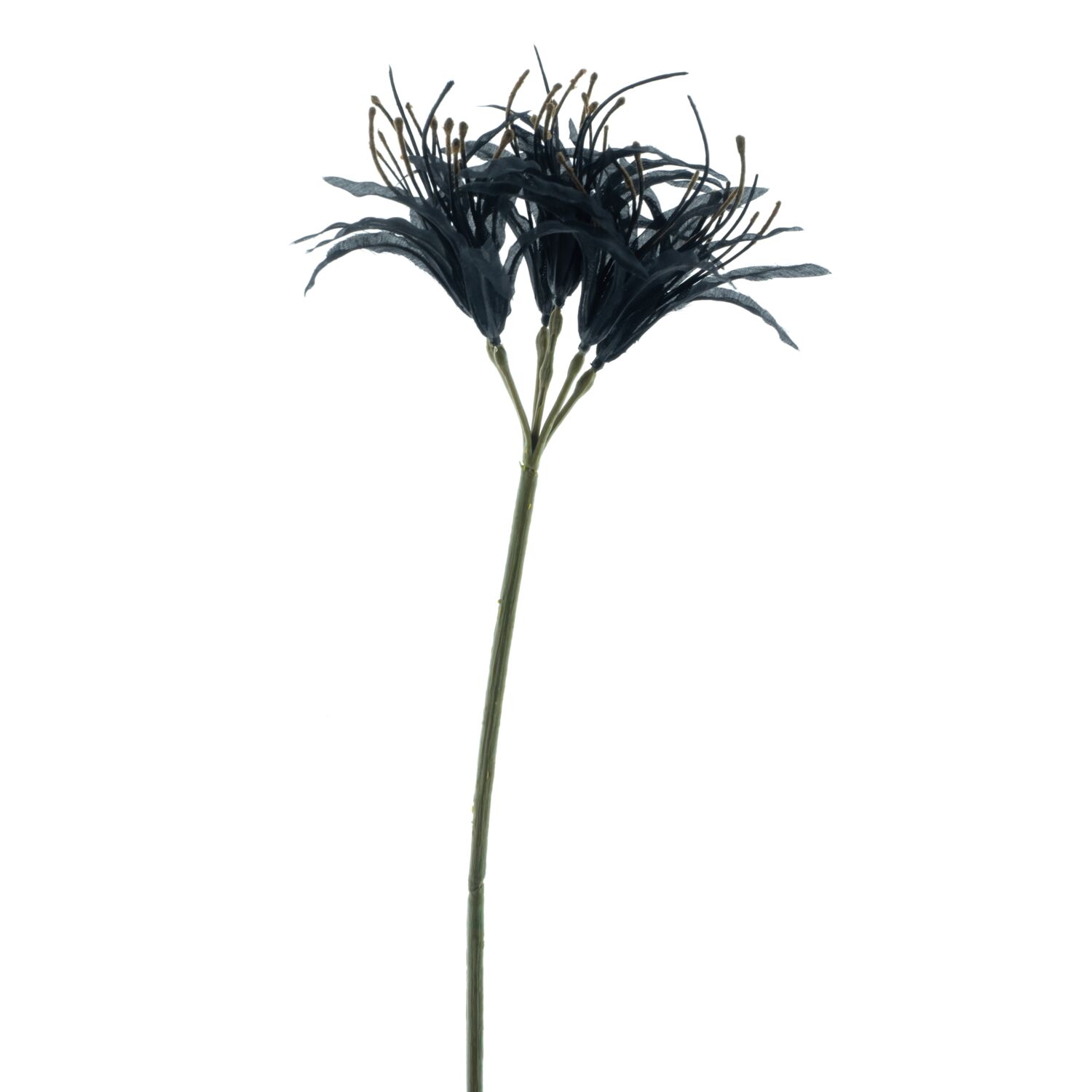 Kunstbloem Varenzo Nerine zwart