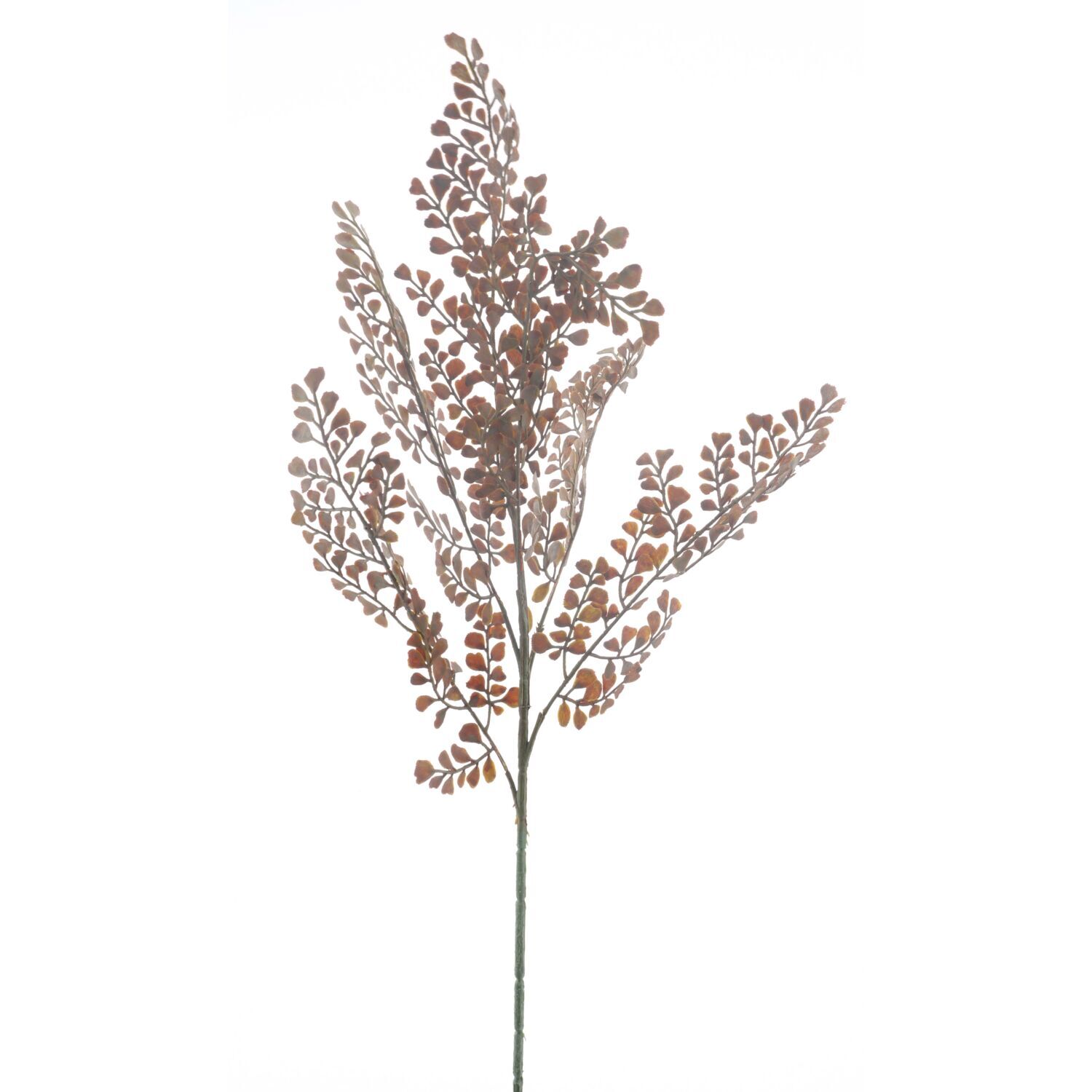 Kunsttak Varenzo wilde varen bruin