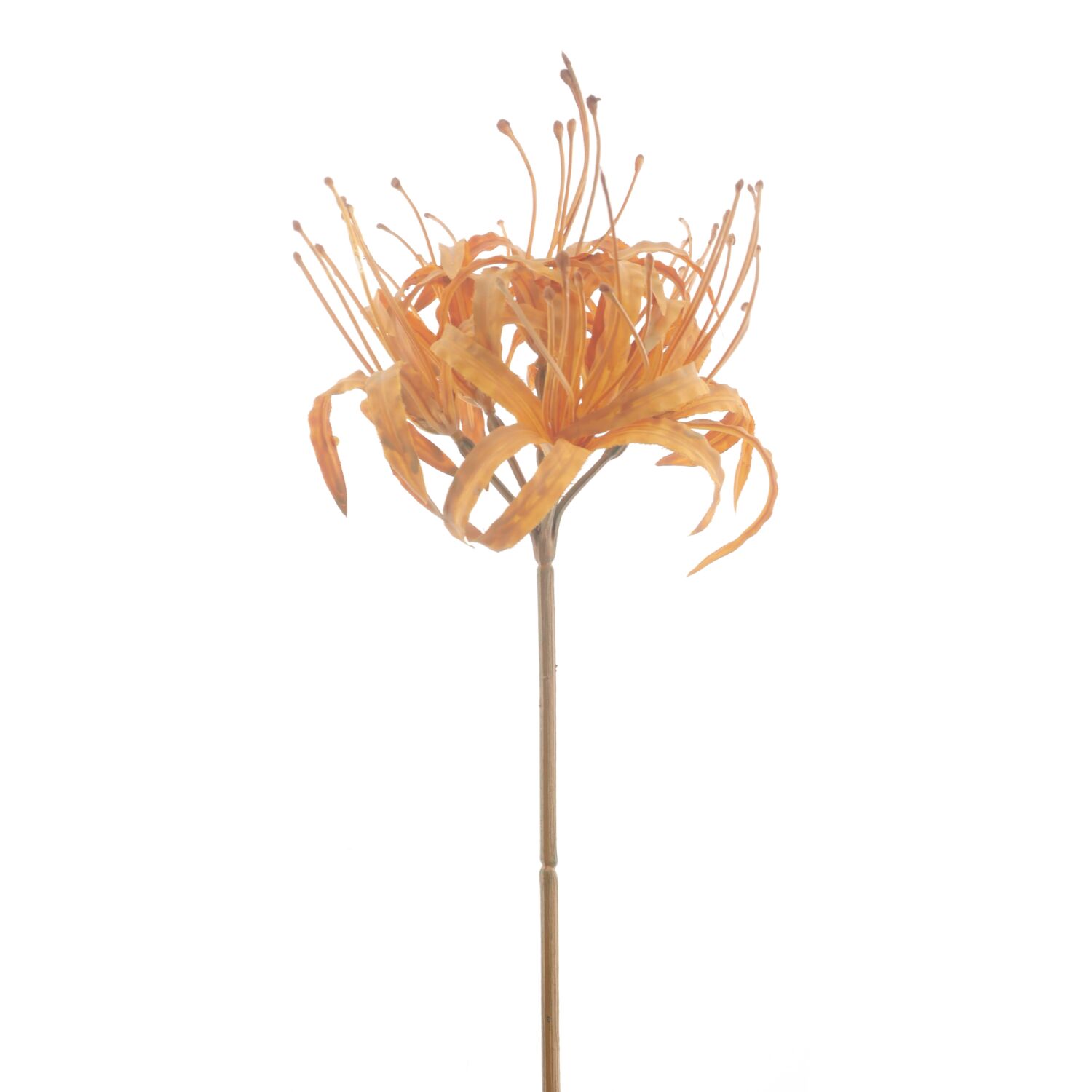 Kunstbloem Varenzo nerine L bruin