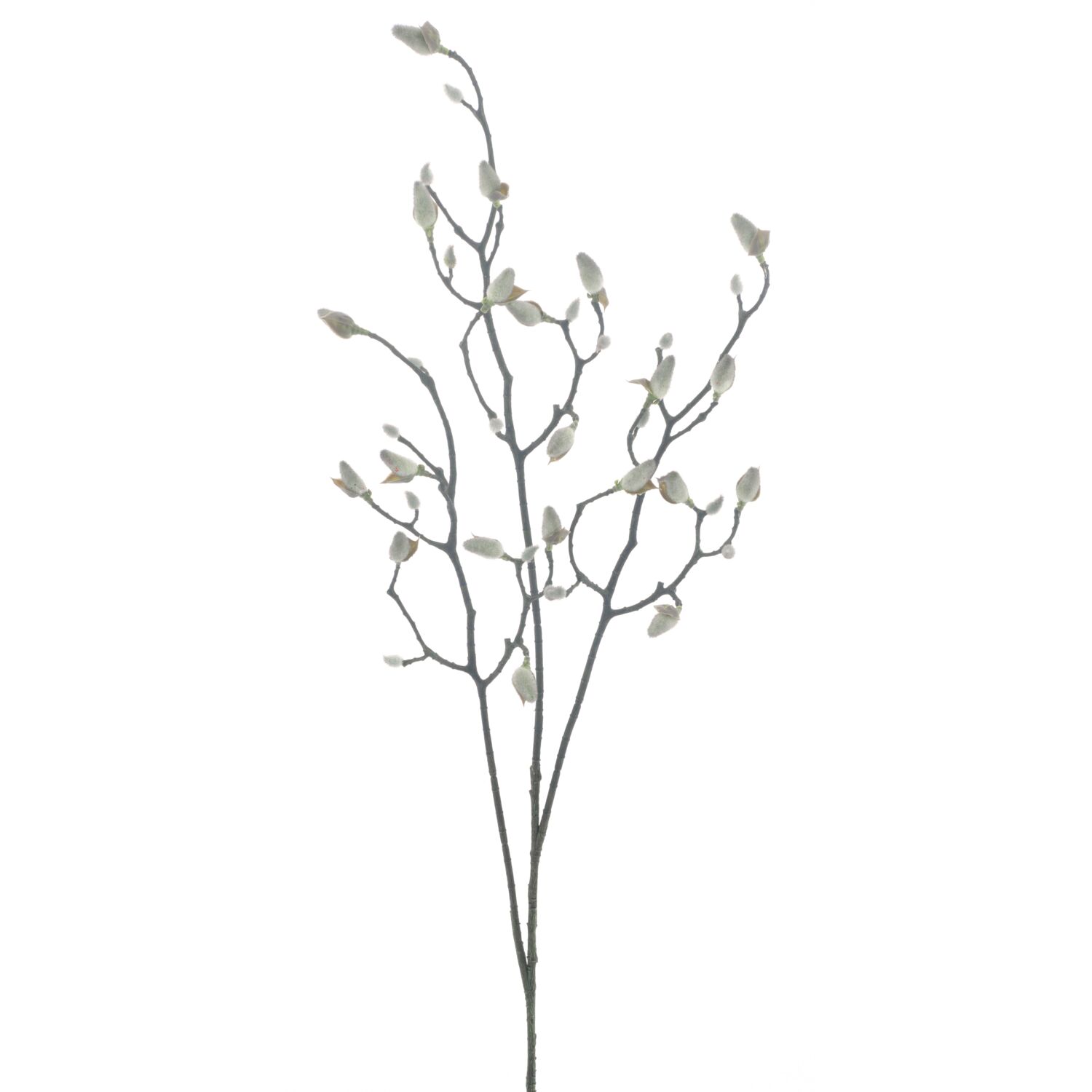 Kunsttak Varenzo magnolia knop L zwart