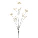 Kunstbloem Varenzo wilde peen beige