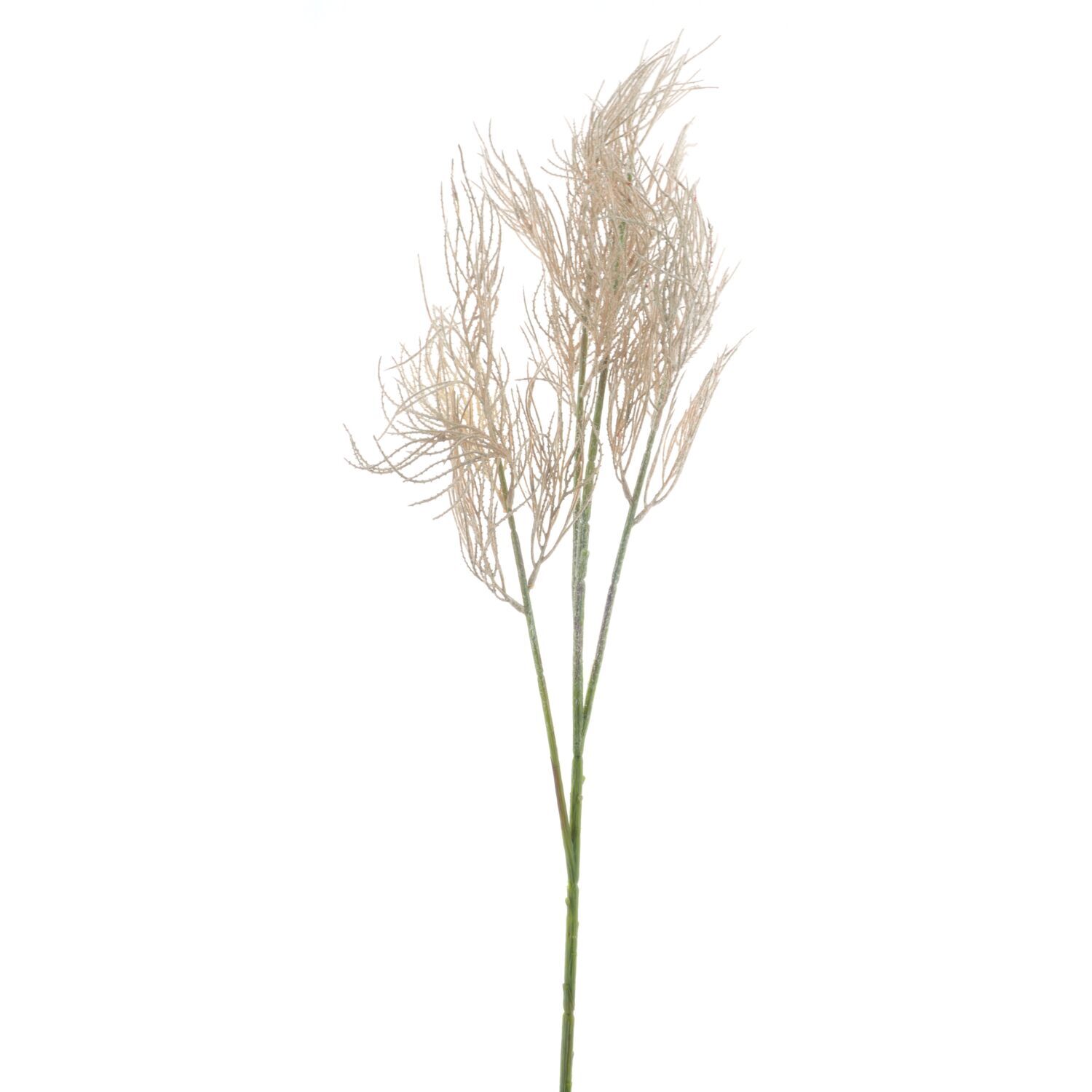 Kunsttak Varenzo fern beige