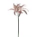 Kunstbloem Varenzo hoya lelie bruin