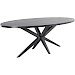 Eettafel Mascaro 250x128 cm ovaal zwart