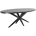 Eettafel Mascaro 250x128 cm ovaal zwart