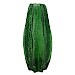 Vaas Trissino transparant groen small