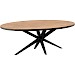 Eettafel Mascaro 250x128 cm ovaal mango