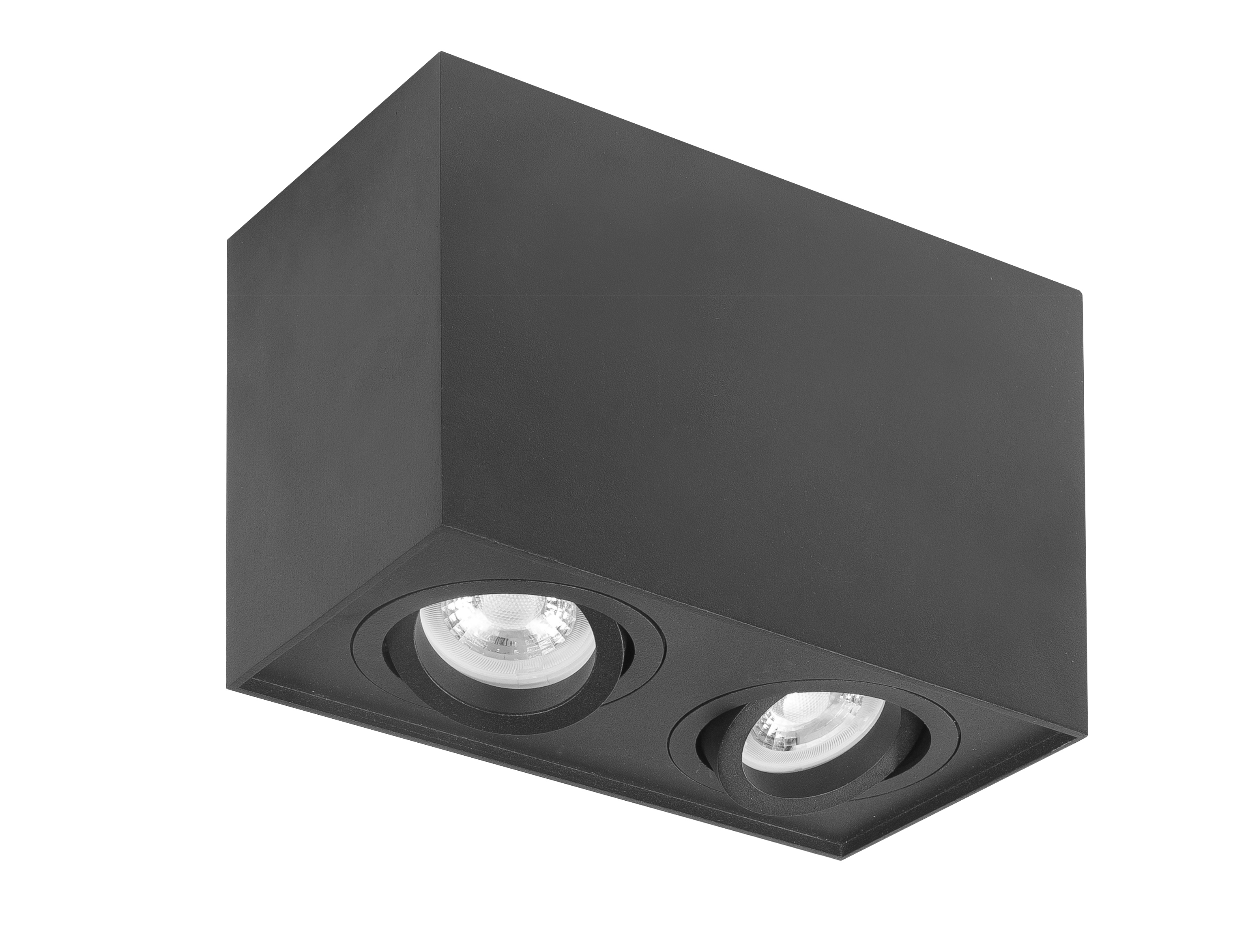 Wand-/plafondlamp Maxi Rebel 2 lichts